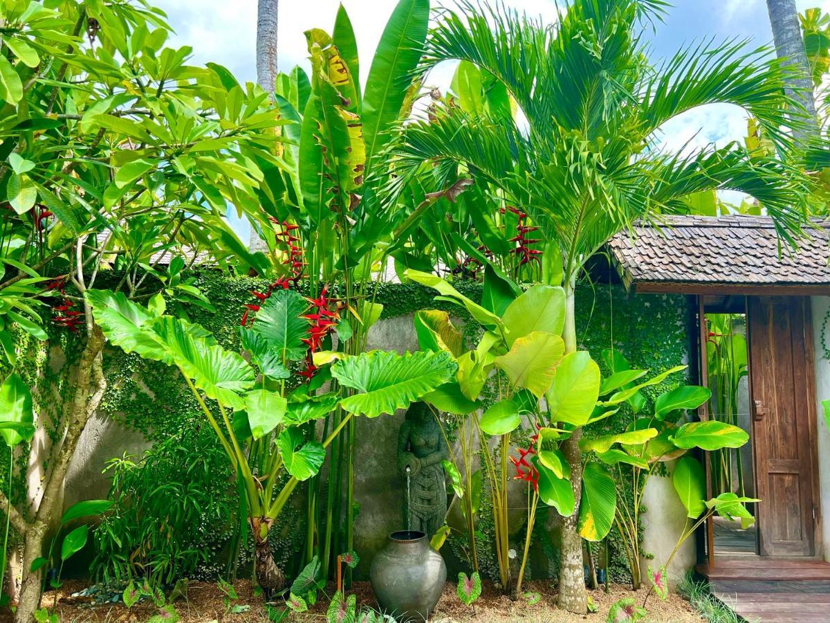Jati Kuta Lombok Hotell Eksteriør bilde